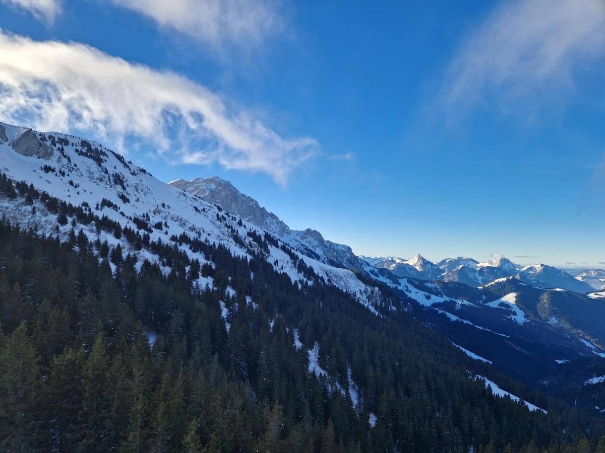 Appartement Tout Confort Montagne Et Lac Leman Thollon-les-Memises Exterior foto